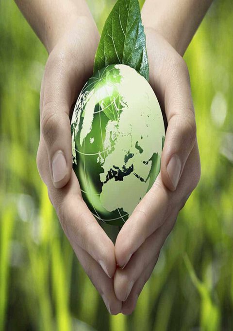 eco_parailustrar_copia