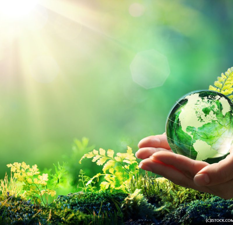 hands-holding-globe-glass-in-green-forest-environment-concept-element-picture-id1129110491